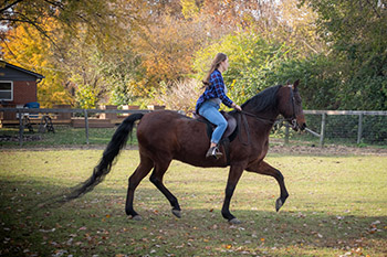 Distinctive Image Designs Family Photographer