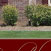 Distinctive Image Designs