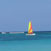 Distinctive Image Designs